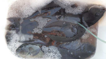 ���[